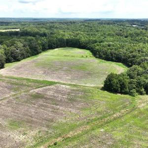 Photo #21 of Candy Creek, Reidsville, NC 110.6 acres