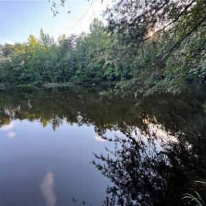 Photo #16 of Candy Creek, Reidsville, NC 110.6 acres