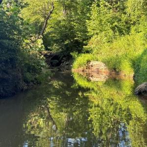Photo #36 of Candy Creek, Reidsville, NC 110.6 acres