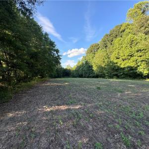 Photo #28 of Candy Creek, Reidsville, NC 110.6 acres