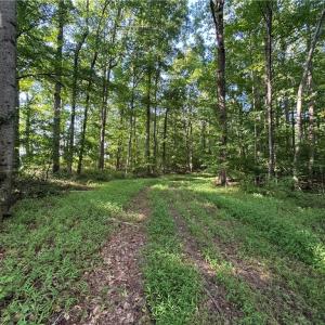 Photo #33 of Candy Creek, Reidsville, NC 110.6 acres