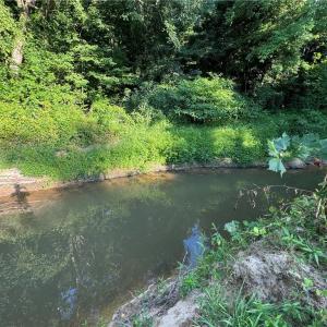 Photo #37 of Candy Creek, Reidsville, NC 110.6 acres