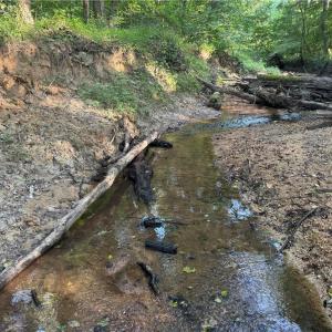 Photo #40 of Candy Creek, Reidsville, NC 110.6 acres
