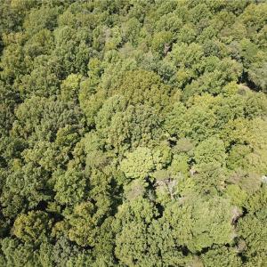 Photo #2 of 5421 Rambling, Greensboro, NC 5.0 acres