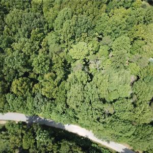 Photo #6 of 5421 Rambling, Greensboro, NC 5.0 acres