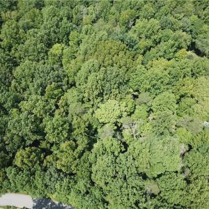 Photo #7 of 5421 Rambling, Greensboro, NC 5.0 acres