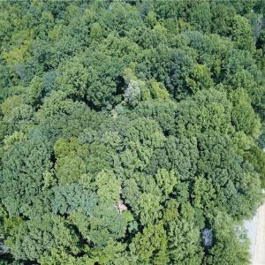 Photo #3 of 5421 Rambling, Greensboro, NC 5.0 acres