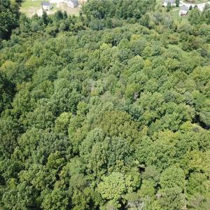 Photo #5 of 5421 Rambling, Greensboro, NC 5.0 acres