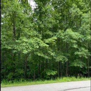 Photo #11 of 5421 Rambling, Greensboro, NC 5.0 acres