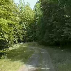Service Road