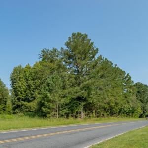Photo #3 of Ophir, Troy, NC 30.4 acres