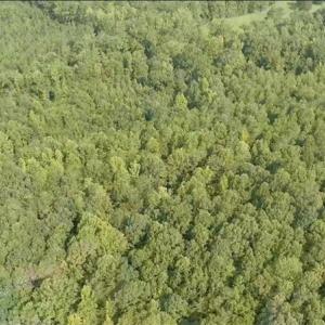 Photo #5 of Ophir, Troy, NC 30.4 acres