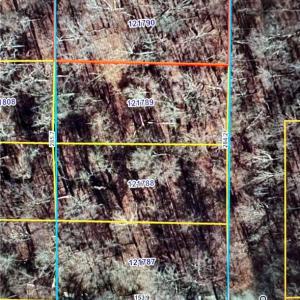 Total of 4 lots equaling 1.02 acres