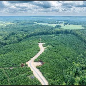 Photo #2 of 651 Briar Ridge Lane, Yanceyville, NC 10.2 acres