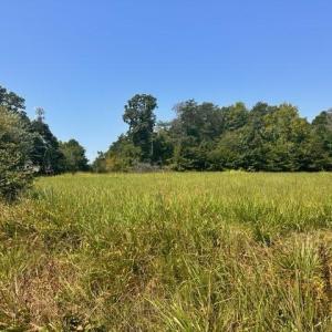 Photo #6 of 4415 Johnson, High Point, NC 1.2 acres