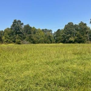 Photo #1 of 4415 Johnson, High Point, NC 1.2 acres