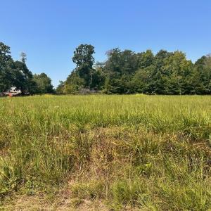Photo #5 of 4415 Johnson, High Point, NC 1.2 acres