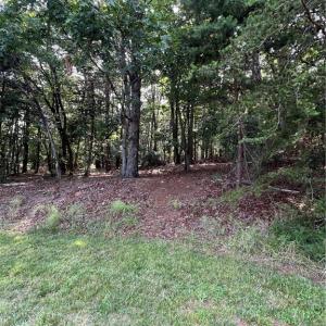 Photo #36 of 135 Deep Water, New London, NC 1.1 acres