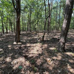 Photo #28 of 135 Deep Water, New London, NC 1.1 acres