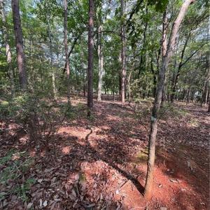 Photo #34 of 135 Deep Water, New London, NC 1.1 acres