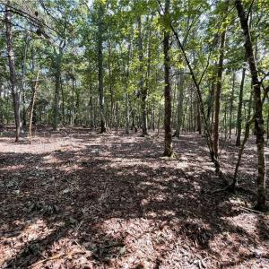 Photo #23 of 135 Deep Water, New London, NC 1.1 acres