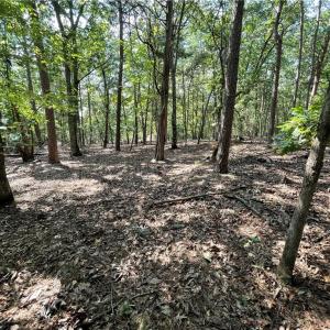 near street looking into lot