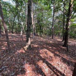 Photo #32 of 135 Deep Water, New London, NC 1.1 acres