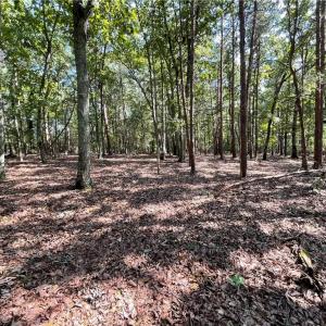 toward back of lot looking to street