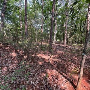 Photo #33 of 135 Deep Water, New London, NC 1.1 acres