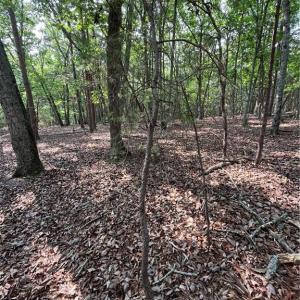 Photo #35 of 135 Deep Water, New London, NC 1.1 acres