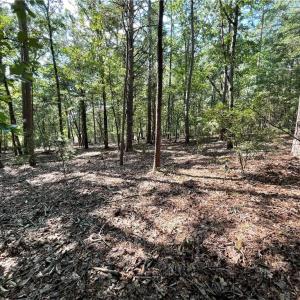 near street looking into lot