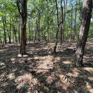 Photo #25 of 135 Deep Water, New London, NC 1.1 acres