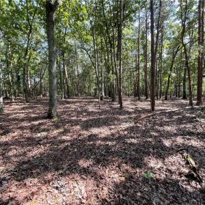 near back of lot looking toward street