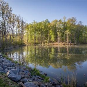 Photo #2 of 9427 Lissara Camp, Lewisville, NC 0.7 acres