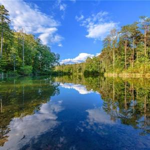Photo #3 of 9427 Lissara Camp, Lewisville, NC 0.7 acres