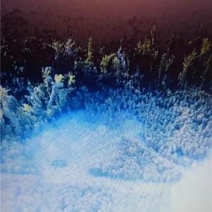Photo #1 of 672 Paschal, Yanceyville, NC 15.2 acres