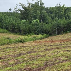 Photo #5 of 672 Paschal, Yanceyville, NC 15.2 acres