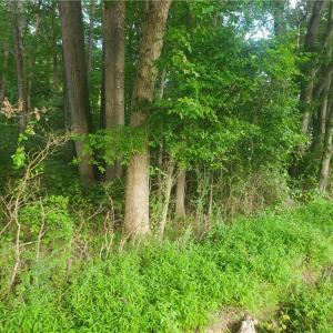 Photo #2 of NC Highway 705, Robbins, NC 1.5 acres