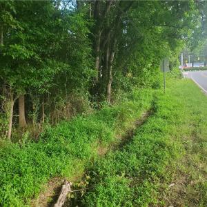 Photo #3 of NC Highway 705, Robbins, NC 1.5 acres