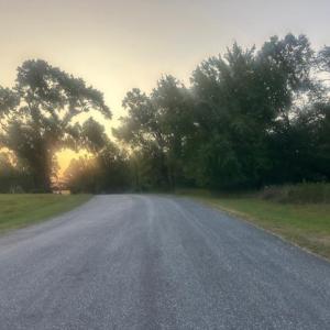 Photo #3 of Lot 2 Frank Joyce, Sandy Ridge, NC 2.2 acres