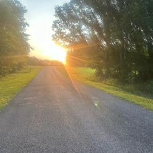 Photo #4 of Lot 2 Frank Joyce, Sandy Ridge, NC 2.2 acres