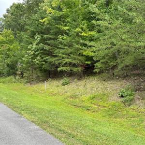 Photo #3 of 635 Rocky Cove, Denton, NC 1.2 acres