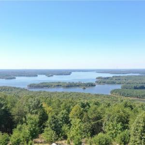 Photo #1 of 635 Rocky Cove, Denton, NC 1.2 acres