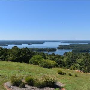 Photo #19 of 635 Rocky Cove, Denton, NC 1.2 acres