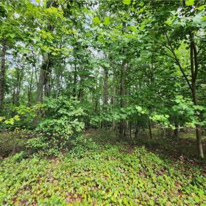 Land is on end of cul-de-sac