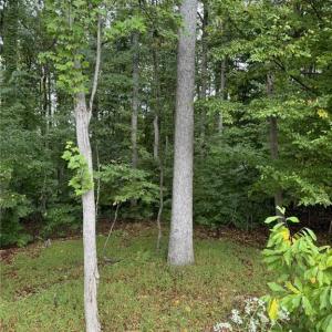 Photo #2 of 721 Surrey Path, Winston-Salem, NC 1.5 acres