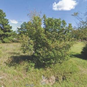 Photo #3 of NC Highway 119, Mebane, NC 26.0 acres