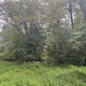 Photo #7 of 1050 Barton, Greensboro, NC 2.8 acres