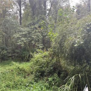 Photo #5 of 1050 Barton, Greensboro, NC 2.8 acres
