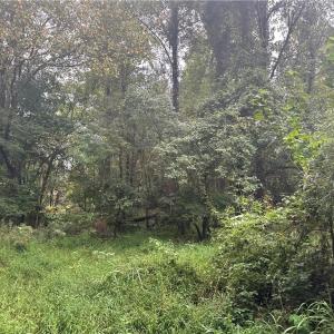 Photo #9 of 1050 Barton, Greensboro, NC 2.8 acres